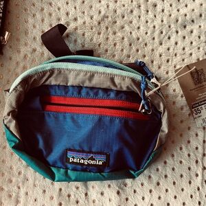 Patagonia belt bag
